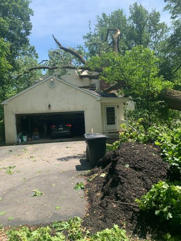 Storm damage caused tree to crash on roof. EDS provides storm damage restoration.