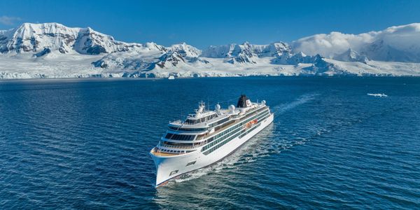 Viking Expedition Ships