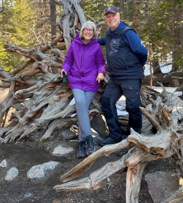 Rocky Mountain National Park - Family Tree Stump near Nymph Lake.  Some of Watson's ashes are at the