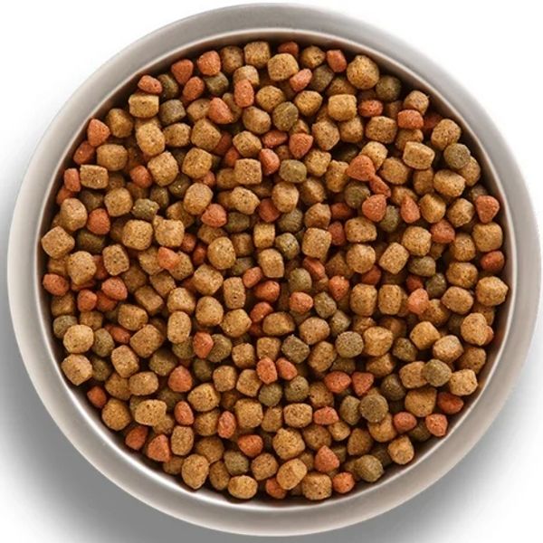 A bowl filled with dry multicolored pet food kibbles.