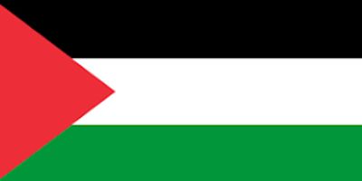 The flag of Palestine with red, white, black, and green colors.