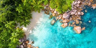 Aerial view of a tropical beach with clear blue water and lush greenery.