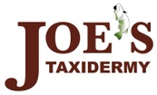 Joe's Taxidermy
