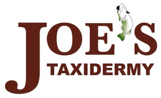 Joe's Taxidermy