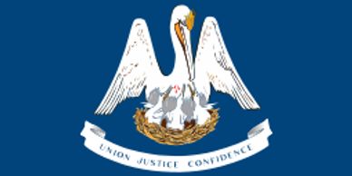 Get Louisiana Mesothelioma Asbestos Lawsuit Information