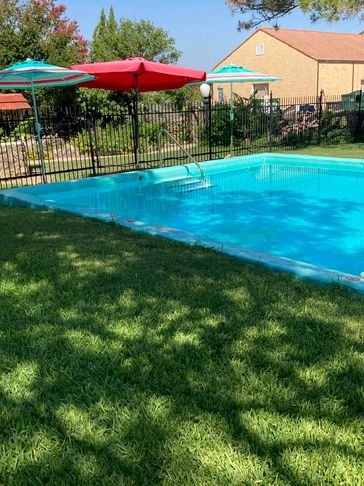 Outdoor swimming pool with colorful umbrellas and green grass.