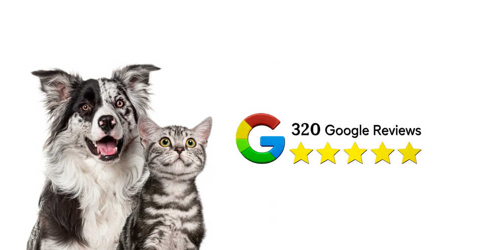 Happy dog and cat with 310 five-star Google reviews.