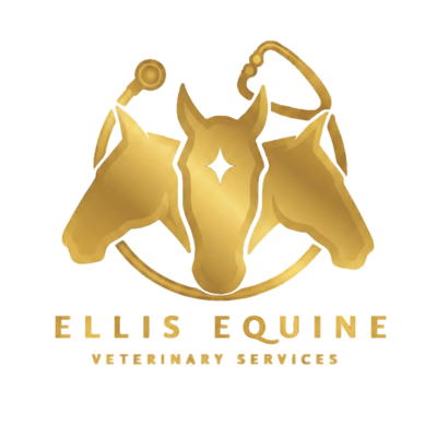 Gold logo with three horse heads and veterinary symbols.
