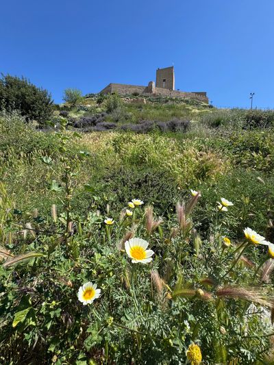 Alcaudete castle