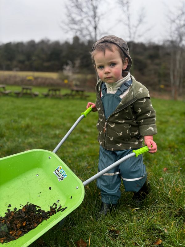 A young child holding a green wheelbarrow outside on grass.