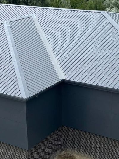 Newly constructed commercial building with a metal roof and dark exterior walls.