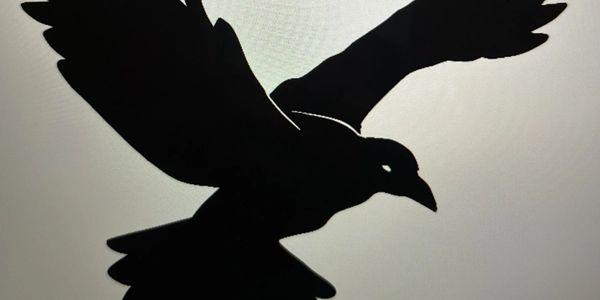 Silhouette of a bird in mid-flight against a bright background.