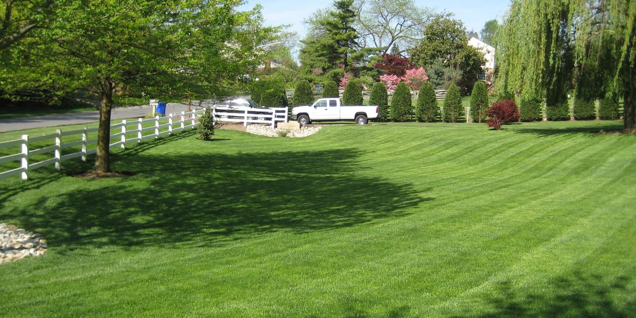 White pickup truck parked on a green lawn near trees.