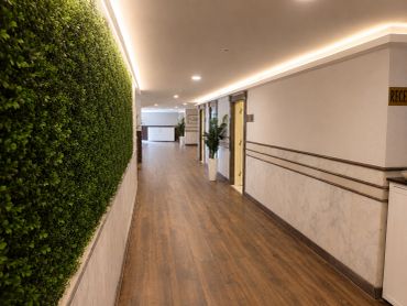 Modern, aydınlık ve yeşil bitkilerle süslenmiş bina koridoru.