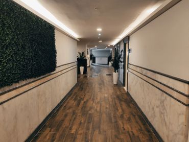 Well-lit corridor with wooden flooring and plants on the sides.