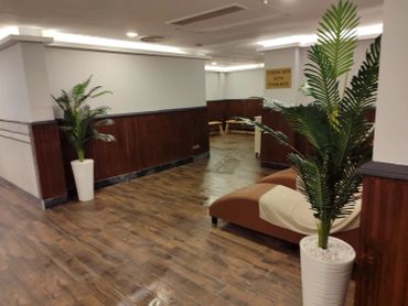 Modern waiting area with wooden floors, potted plants, and seating.