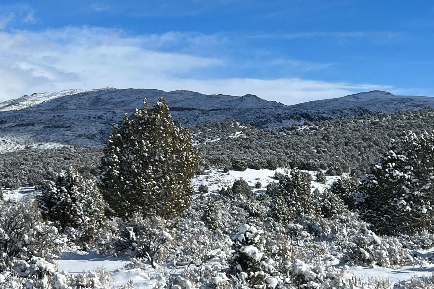 Nevada Mountain in the Snow, Area 076.