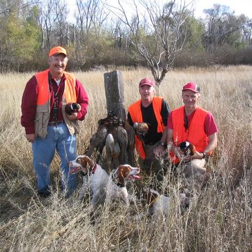 Pheasant hunting