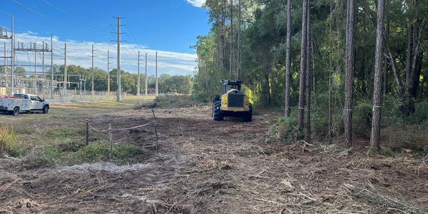 CAT 553 forestry mulcher doing some side of the road clearing in Florida