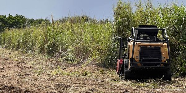 ASV RT-120F forestry mulcher clearing some underbrush in Florida