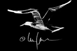 Larry Casso Fine Art