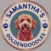 ~ Samantha's Goldendoodles ~