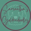 ~ Samantha's Goldendoodles ~