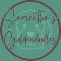 ~ Samantha's Goldendoodles ~
