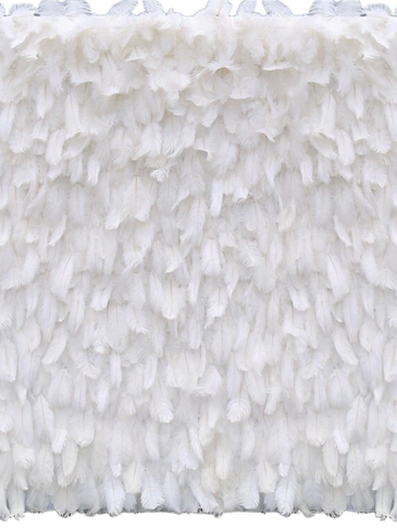 White feather texture pattern.