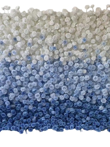 A gradient wall of white to blue roses.