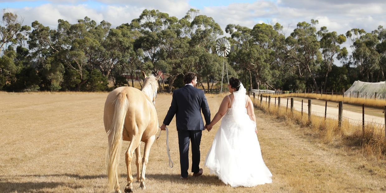 Newlyweds walk hand in hand with a horse in a rustic field. budget wedding, micro wedding, country wedding,