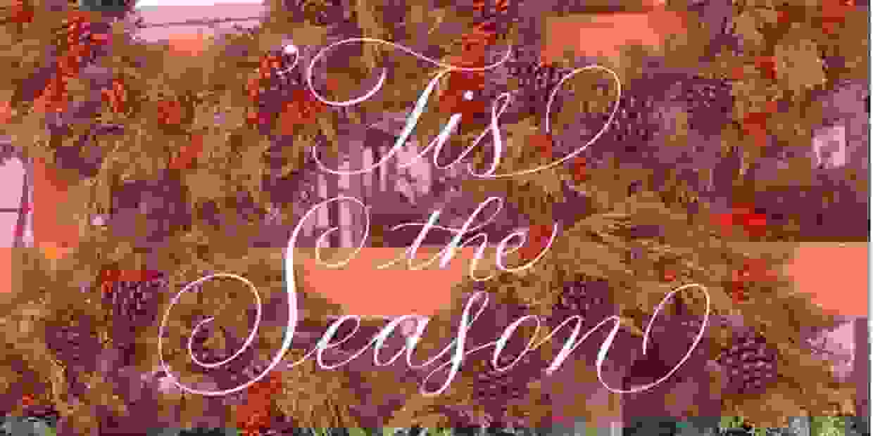 Village Green Nurseries