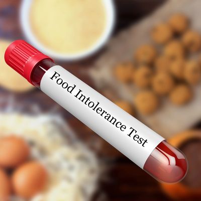 Food Intolerance Test with a blood sample for fast and accurate results.