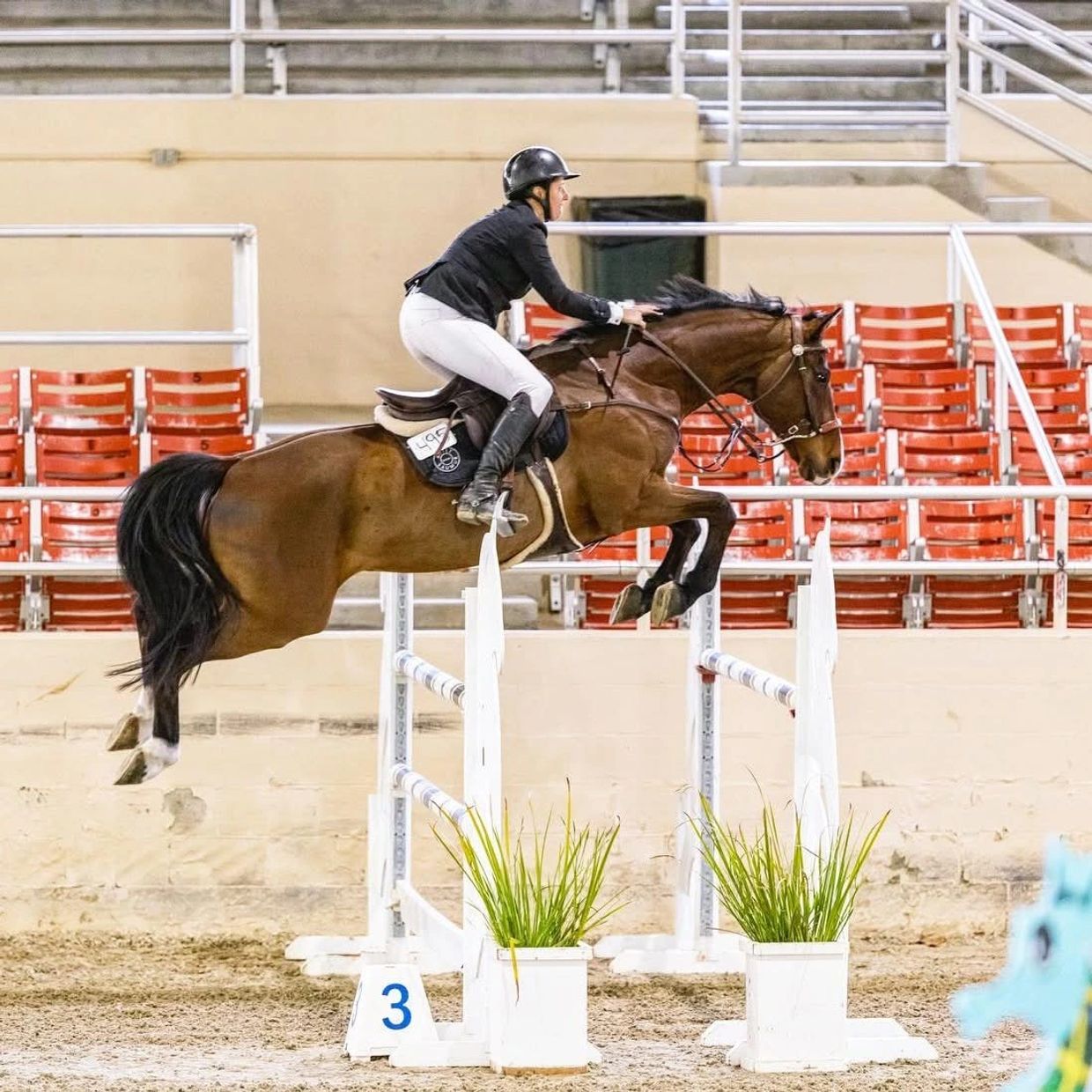 Equestrian rider jumping over a hurdle inside an arena.