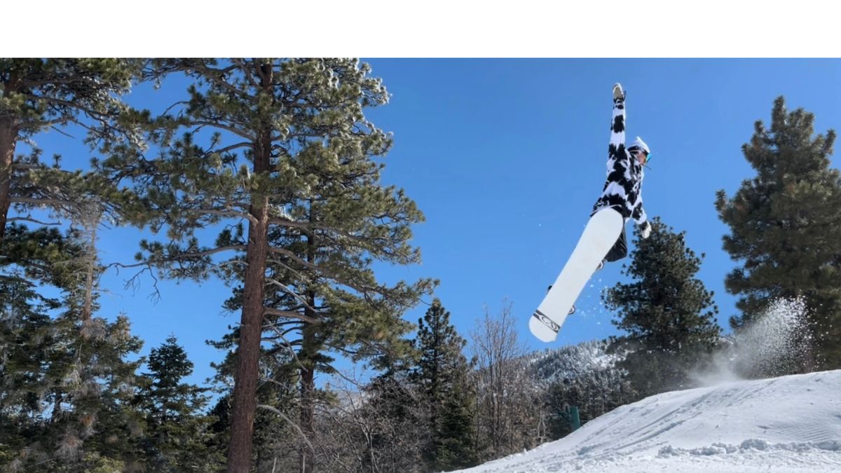 Amplid Line Hunter Backpack Mochilas de esquí/snowboard : Snowleader