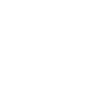 Beer Land Burger