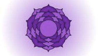 A symmetrical purple mandala with layered petal shapes on a glowing background.