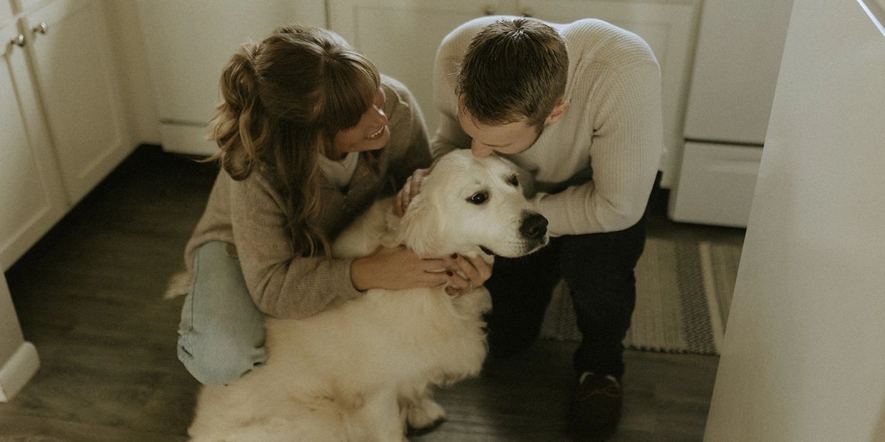 Midwest guardian family hugs stunning, champion English cream golden retriever in Michigan home 