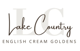 Lake Country Goldens