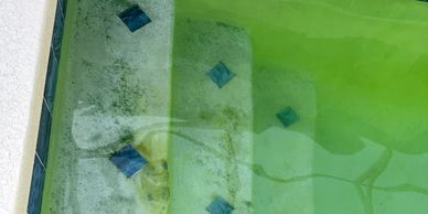Pool steps with greenish water and some algae buildup.