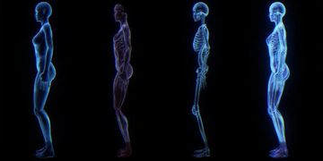 Side-by-side images showing different layers of the human body, from skin to skeleton.