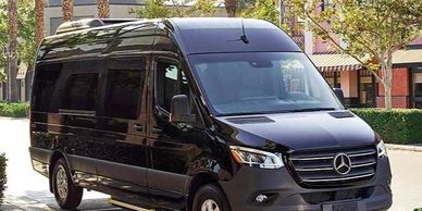Black Mercedes-Benz Sprinter van parked outdoors near trees and buildings.