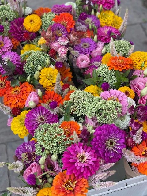 Public Flower Picking Days at Stone Lake Farms — Together We Heal