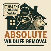 Absolute Wildlife Removal