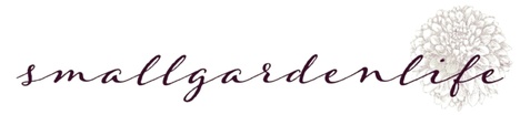 smallgardenlife
