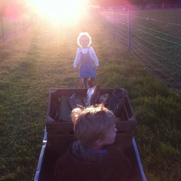 A sunset glares as a young girl walks towards a boy in a wheel barrow stacked with logs.