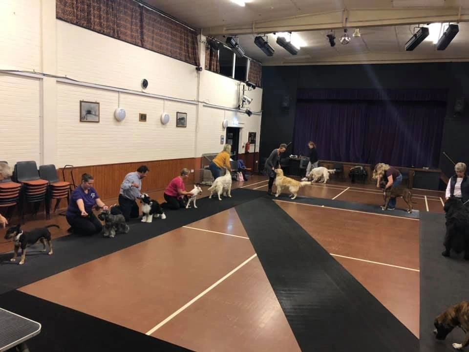 Dog Show Calendar 2023