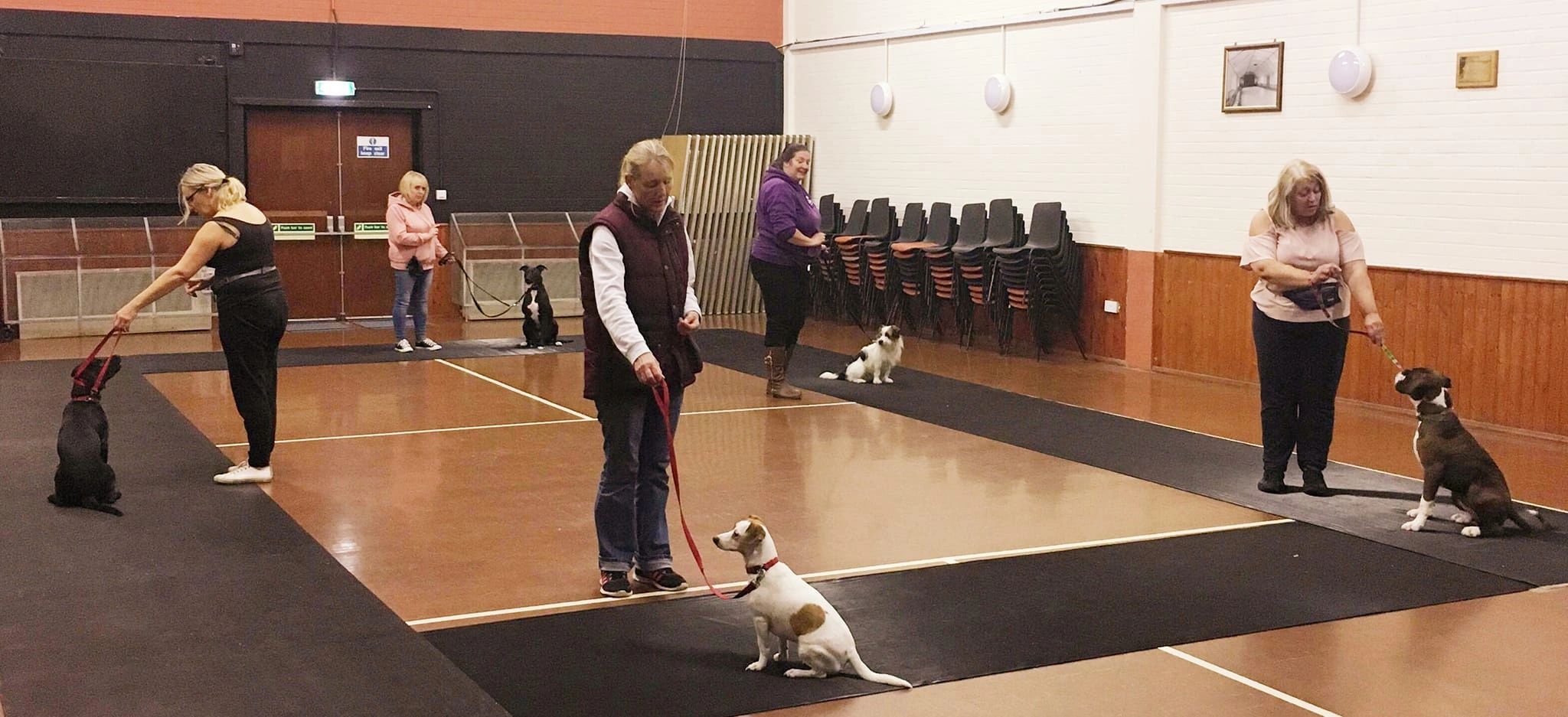 2023 Dog Show Dates