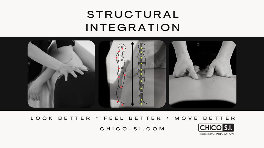 Various dried herbs, flowers, and a glass bottle arranged on a surface with wooden spoons.