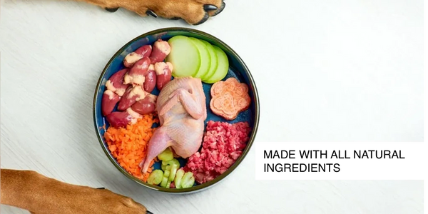 Dog getting ready to eat food